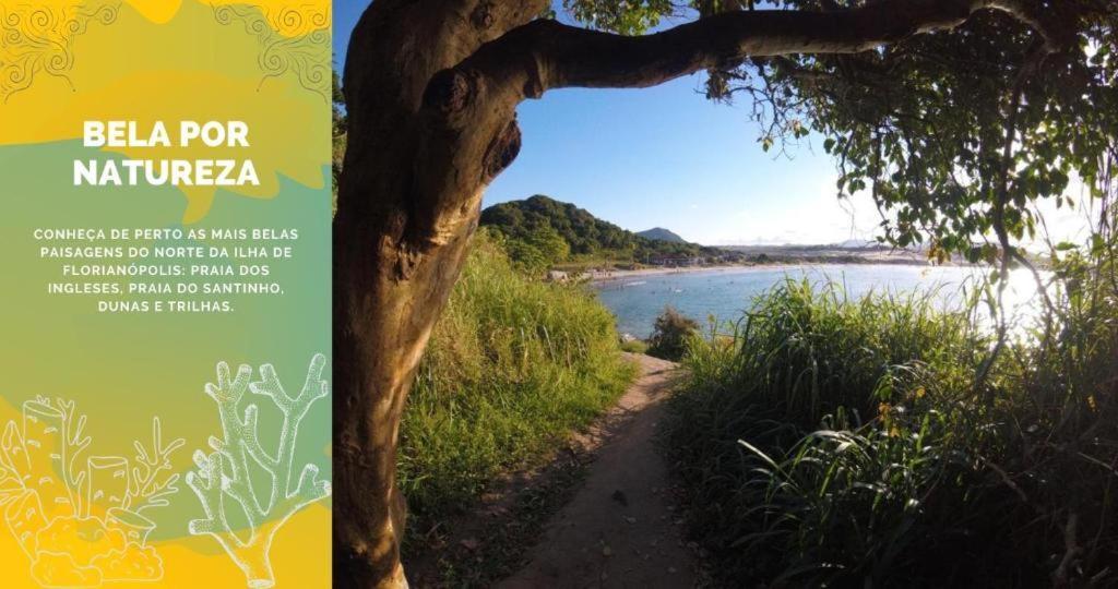 Imobilha - Casa De Praia C/ Piscina Ingleses - Santinho Florianópolis Eksteriør bilde